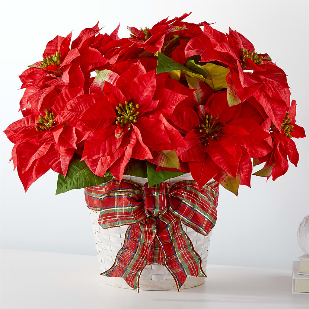Happiest Holidays Poinsettia – BENNY'S FLOWERS, Norton VA