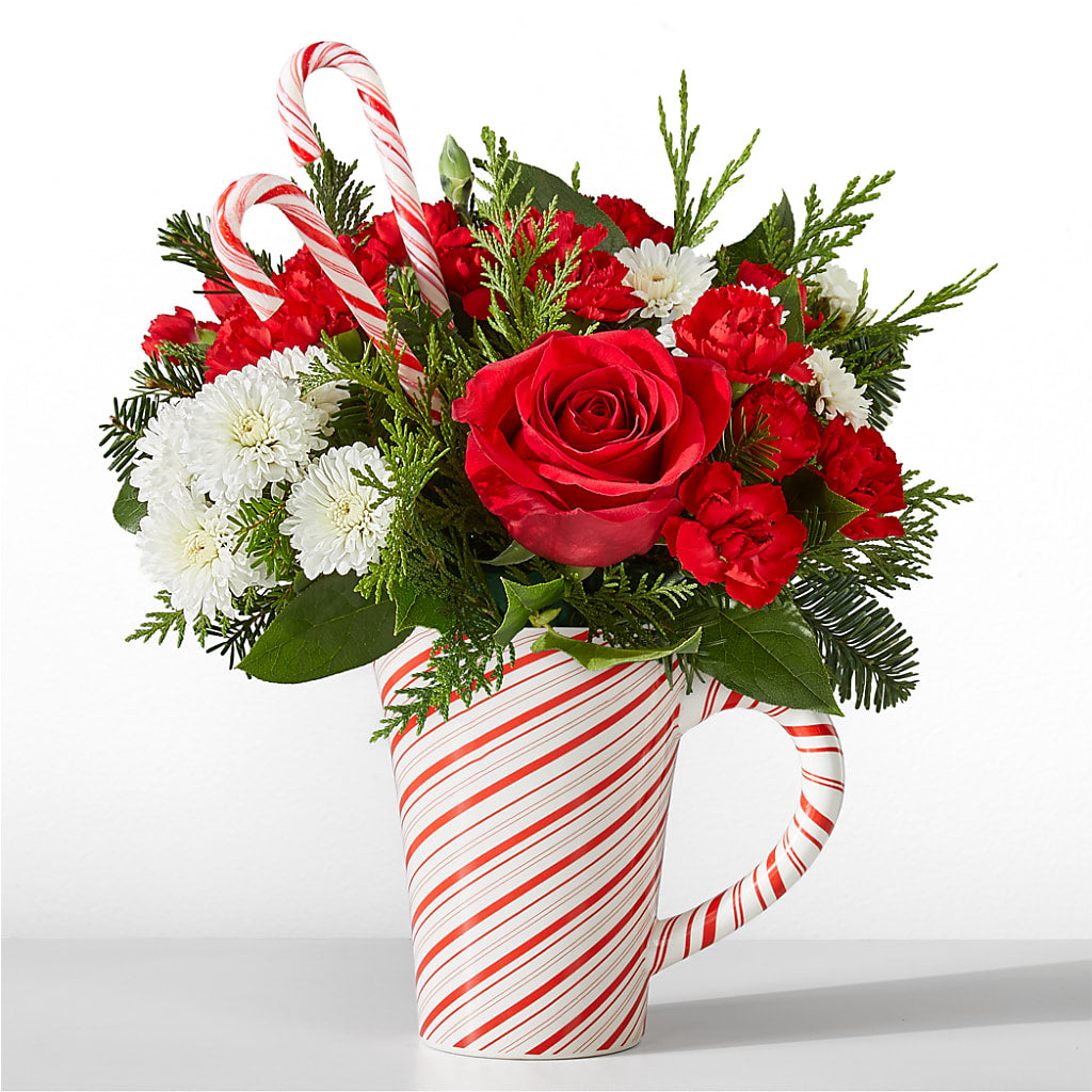 Peppermint Swirl Mug – BENNY'S FLOWERS, Norton VA