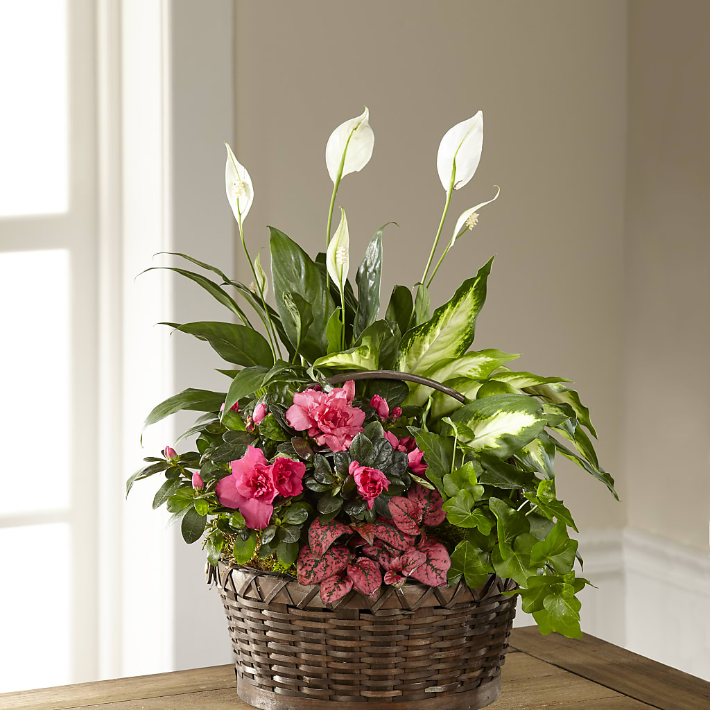 Dream in Pink Dishgarden – BENNY'S FLOWERS, Norton VA