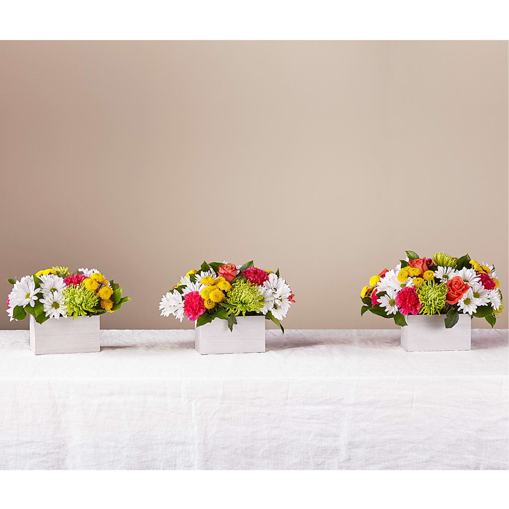 Sorbet Bouquet – BENNY'S FLOWERS, Norton VA