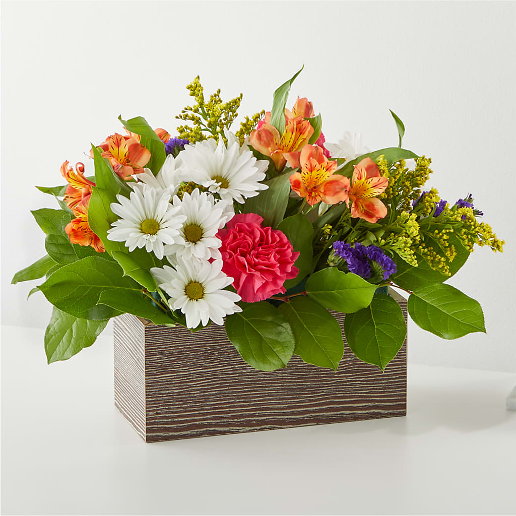 Oopsie Daisy Box Bouquet – BENNY'S FLOWERS, Norton VA