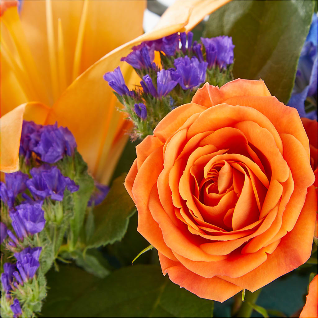 Radiant Citrus Box Bouquet – BENNY'S FLOWERS, Norton VA