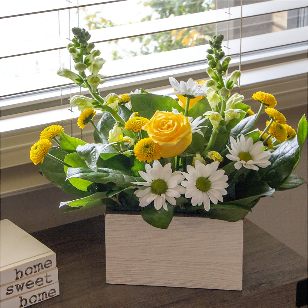 Sun Salutation Box Bouquet – BENNY'S FLOWERS, Norton VA