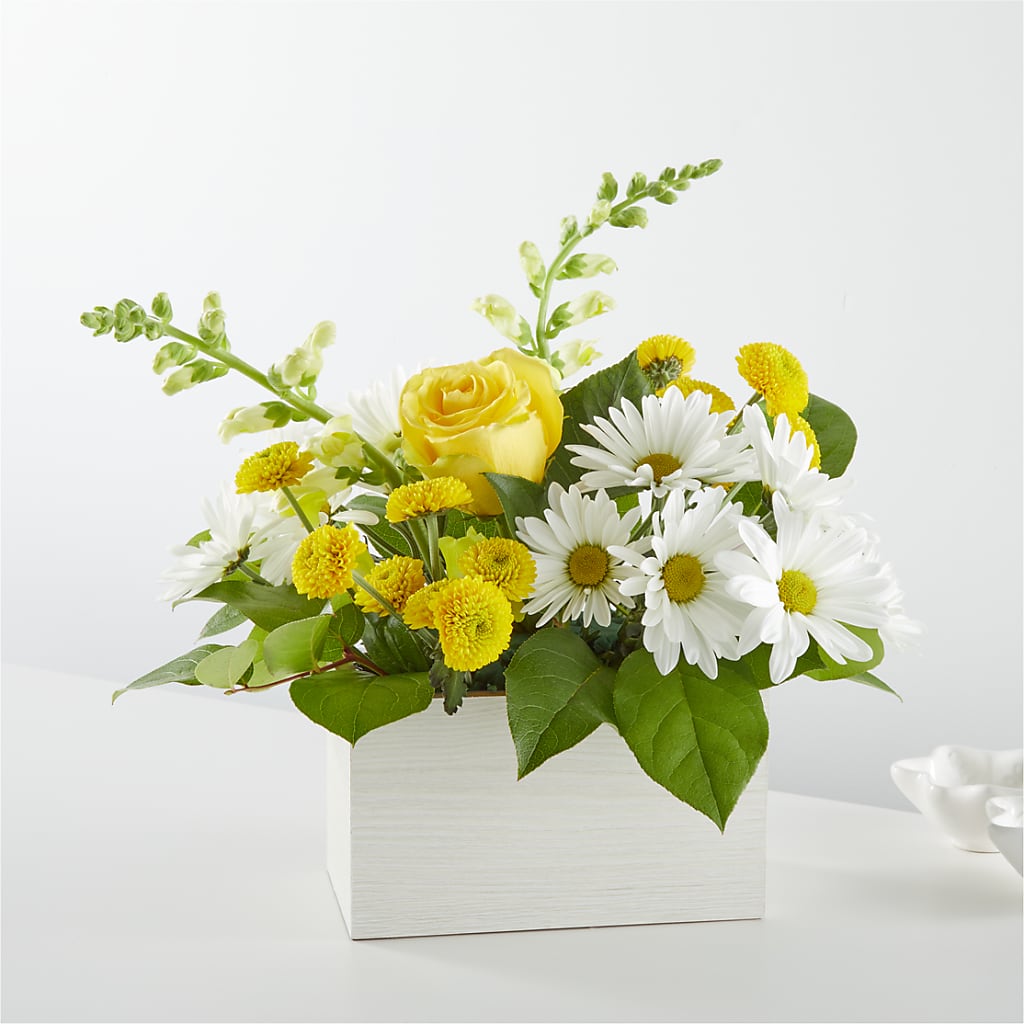 Sun Salutation Box Bouquet – BENNY'S FLOWERS, Norton VA