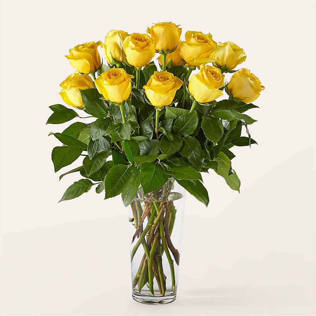 Long Stem Yellow Rose Bouquet – BENNY'S FLOWERS, Norton VA