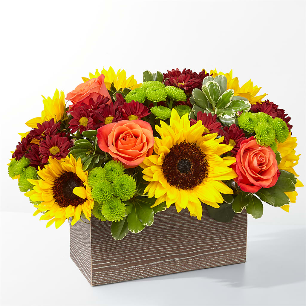 Happy Harvest Garden – BENNY'S FLOWERS, Norton VA