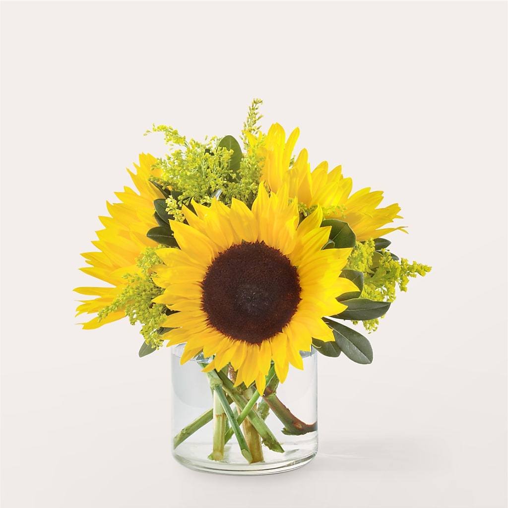 Beaming Sunflower Bouquet – BENNY'S FLOWERS, Norton VA