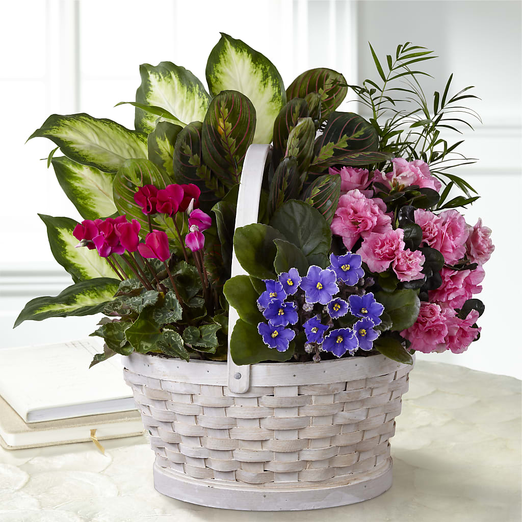 Peaceful Garden Planter – BENNY'S FLOWERS, Norton VA