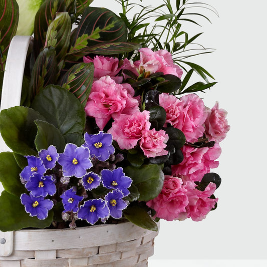 Peaceful Garden Planter – BENNY'S FLOWERS, Norton VA
