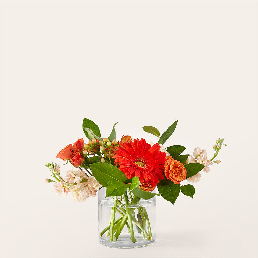 Paloma Please Bouquet – BENNY'S FLOWERS, Norton VA