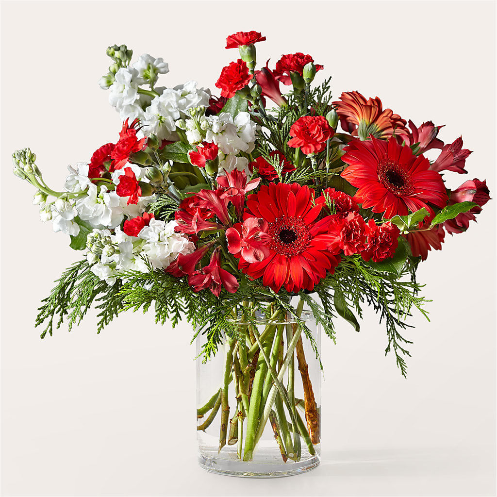 Holidaisy Bouquet – BENNY'S FLOWERS, Norton VA