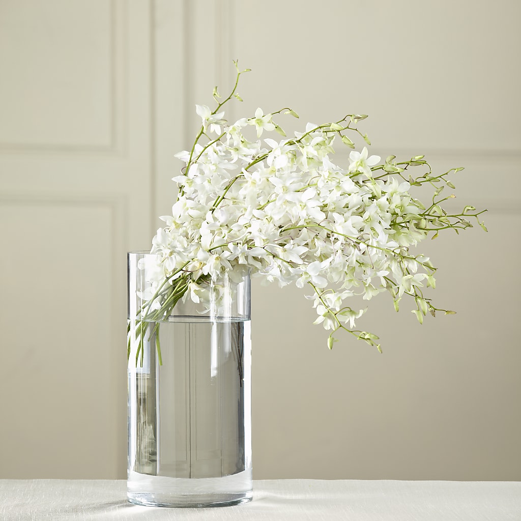 White Dendrobium Bouquet – BENNY'S FLOWERS, Norton VA