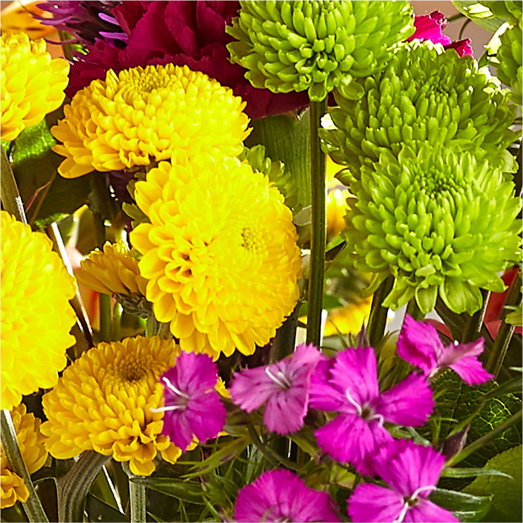 Bold & Bright – A Florist Original – BENNY'S FLOWERS, Norton VA