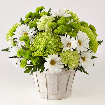 Lucky Charm Basket (Standard) – BENNY'S FLOWERS, Norton VA