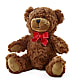 Adorable Plush Bear – BENNY'S FLOWERS, Norton VA