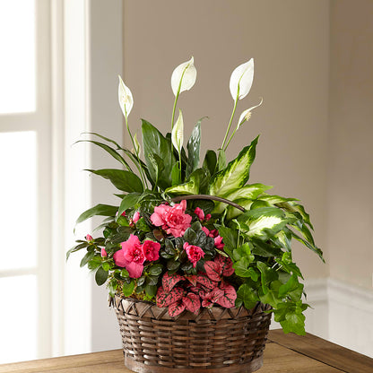 Dream in Pink Dishgarden – BENNY'S FLOWERS, Norton VA