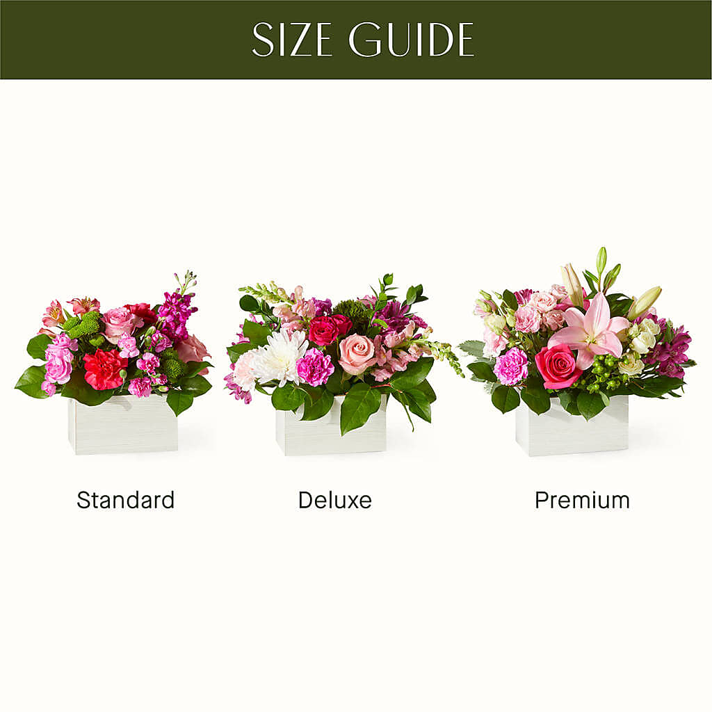 Sweetberry Box – A Florist Original – BENNY'S FLOWERS, Norton VA