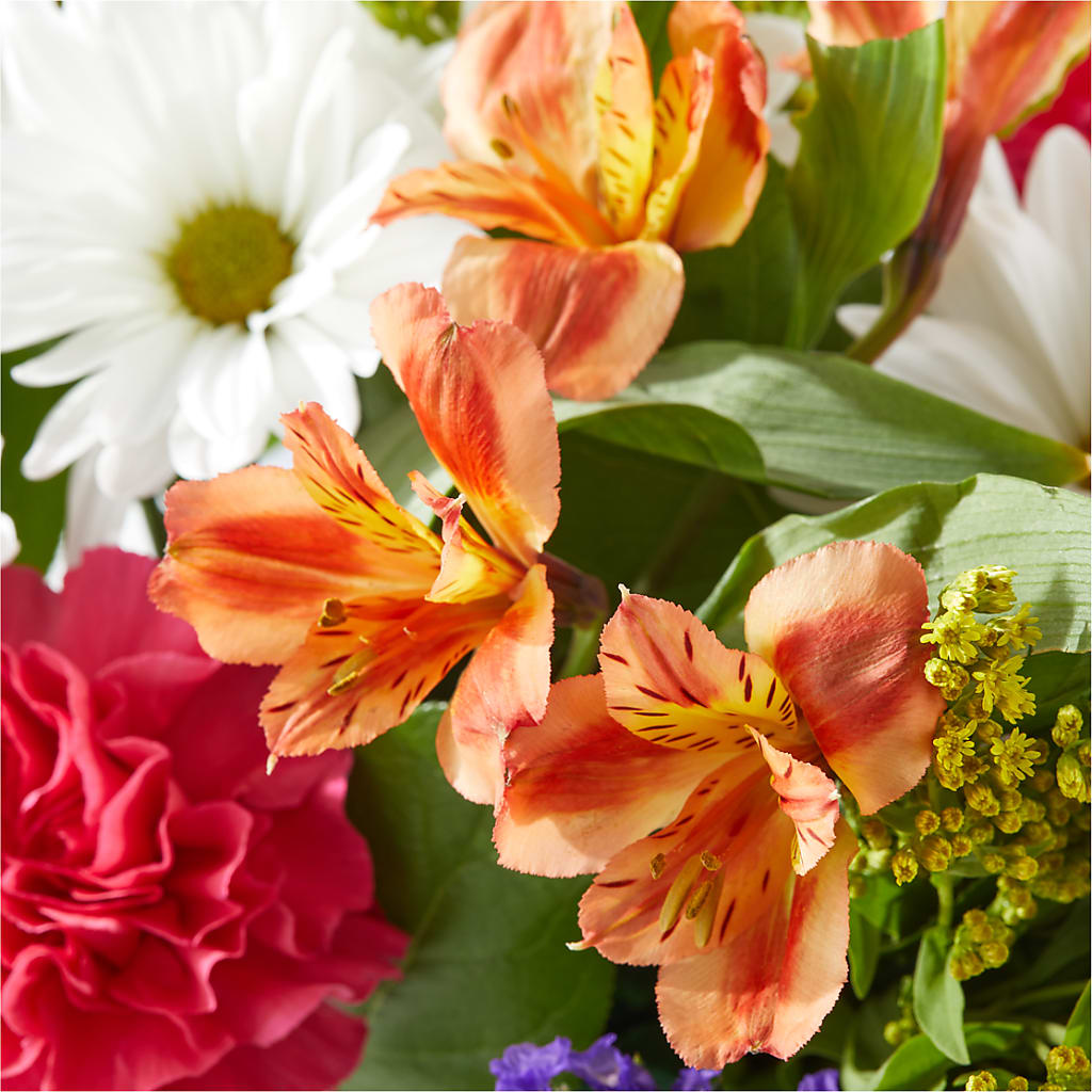 Oopsie Daisy Box Bouquet – BENNY'S FLOWERS, Norton VA