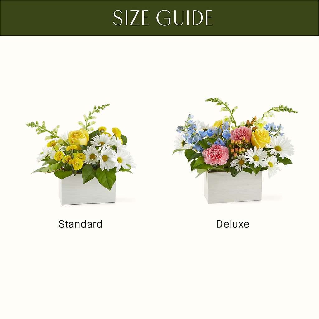 Sun Salutation Box Bouquet – BENNY'S FLOWERS, Norton VA