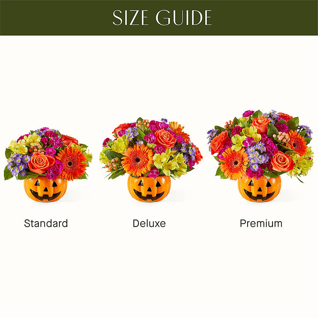 Tricks & Treats Pumpkin – BENNY'S FLOWERS, Norton VA