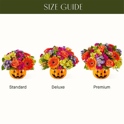 Tricks & Treats Pumpkin – BENNY'S FLOWERS, Norton VA