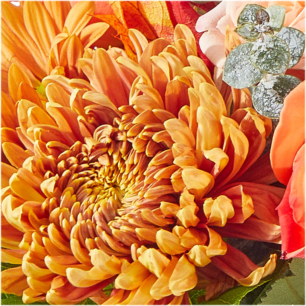 Scenic Route Bouquet – BENNY'S FLOWERS, Norton VA