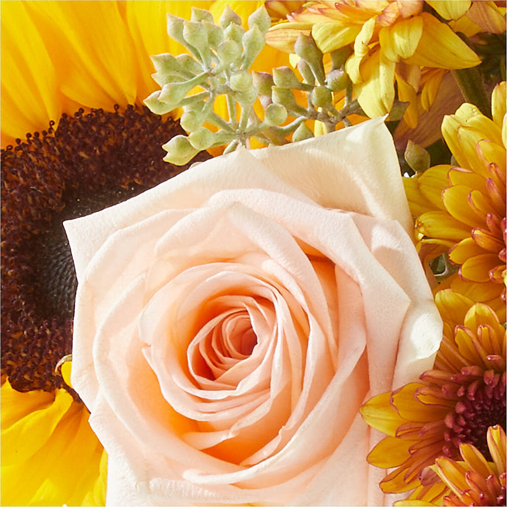 Pumpkin to Talk About Bouquet – BENNY'S FLOWERS, Norton VA