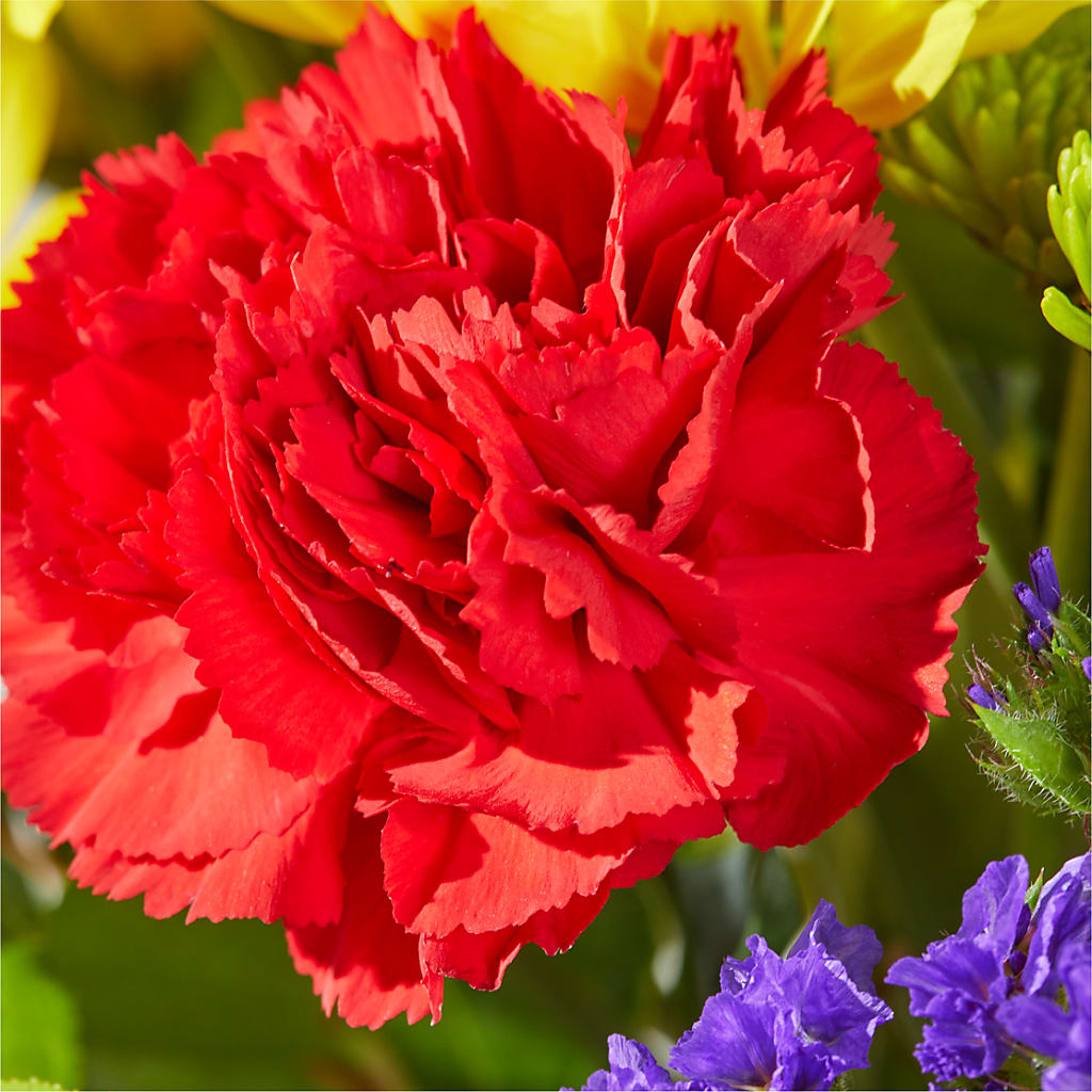 Brighter Days Bouquet – BENNY'S FLOWERS, Norton VA