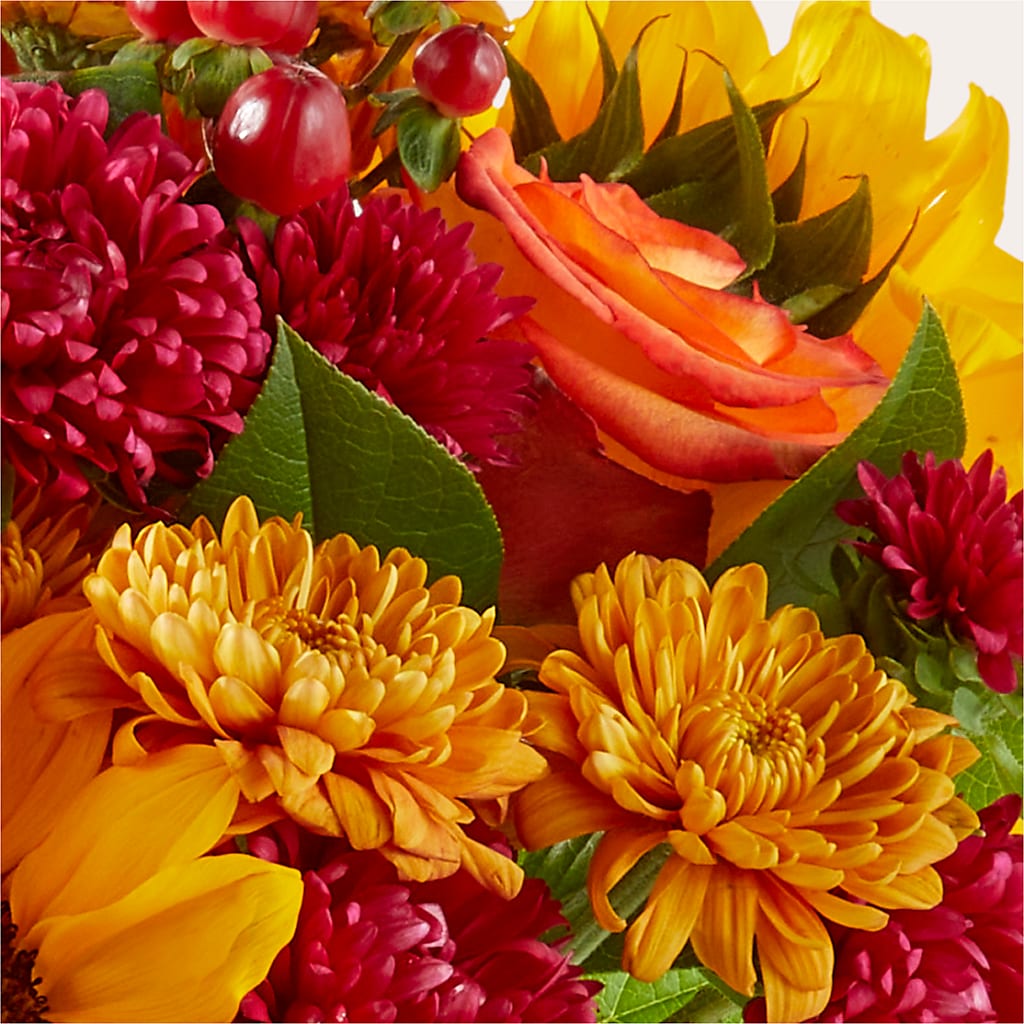 Sweater Season - A Florist Original – BENNY'S FLOWERS, Norton VA