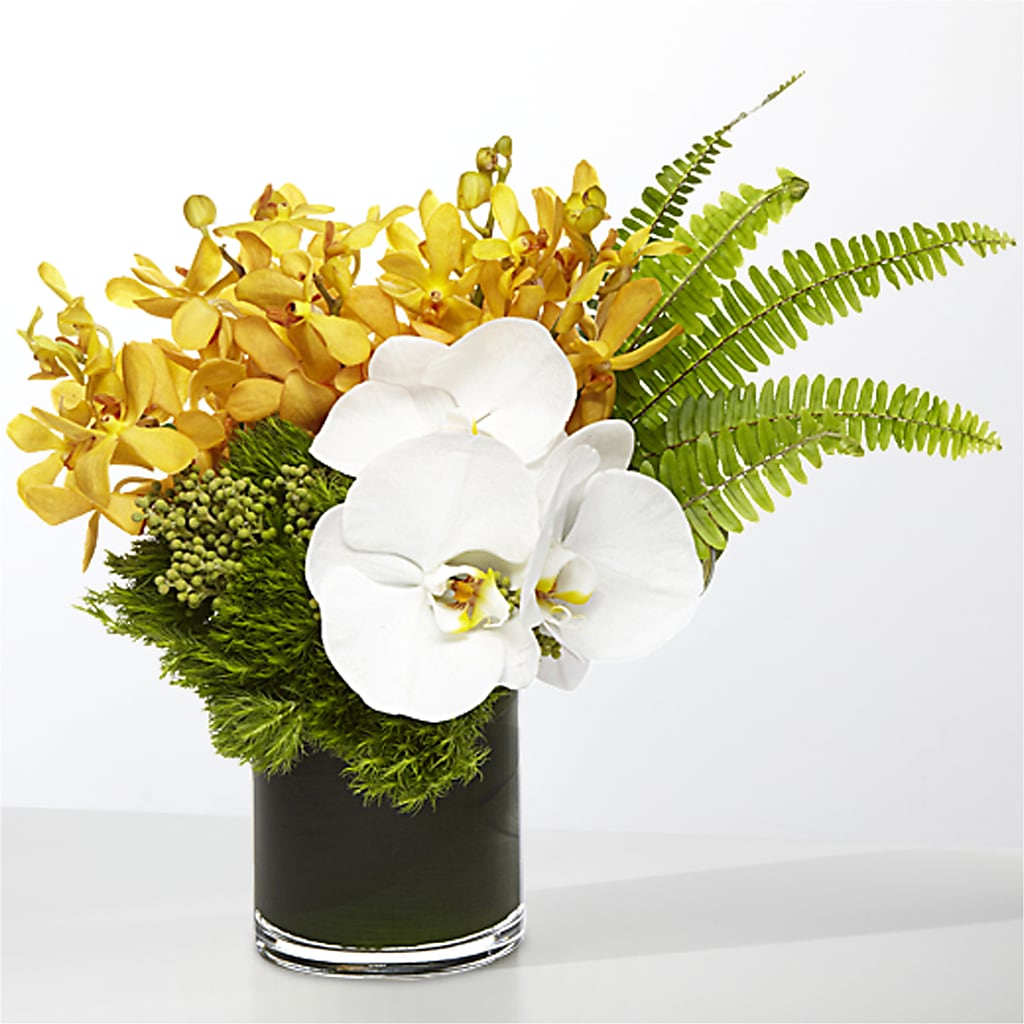 The Tropics – BENNY'S FLOWERS, Norton VA