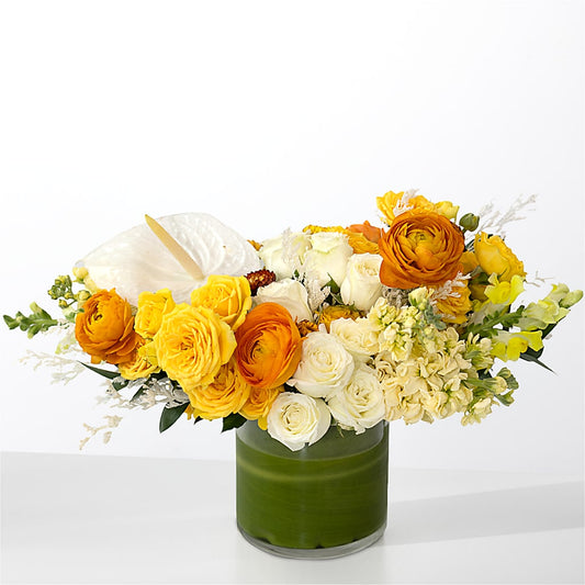 The Optimist – BENNY'S FLOWERS, Norton VA