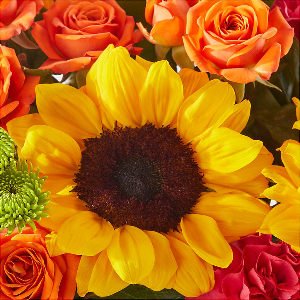 Sun-drenched Blooms Box Bouquet – BENNY'S FLOWERS, Norton VA