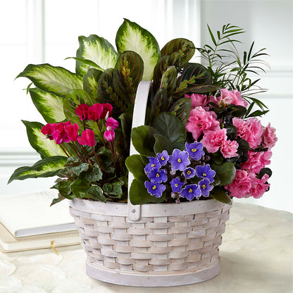 Peaceful Garden Planter – BENNY'S FLOWERS, Norton VA
