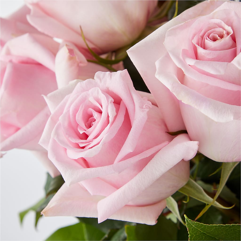 Picture Perfect Pink Rose Bouquet – BENNY'S FLOWERS, Norton VA