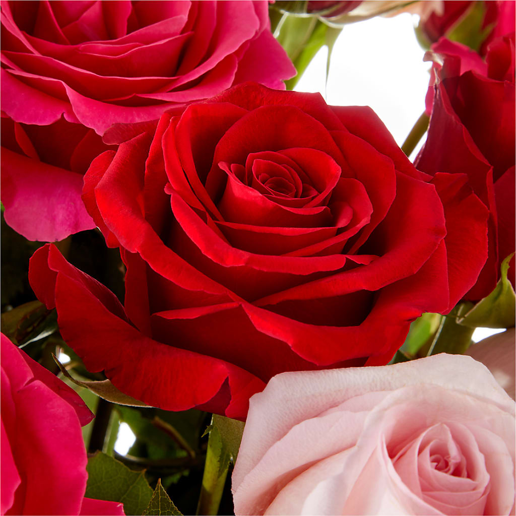 Love Notes Rose Bouquet – BENNY'S FLOWERS, Norton VA