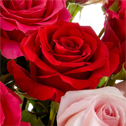 Love Notes Rose Bouquet – BENNY'S FLOWERS, Norton VA