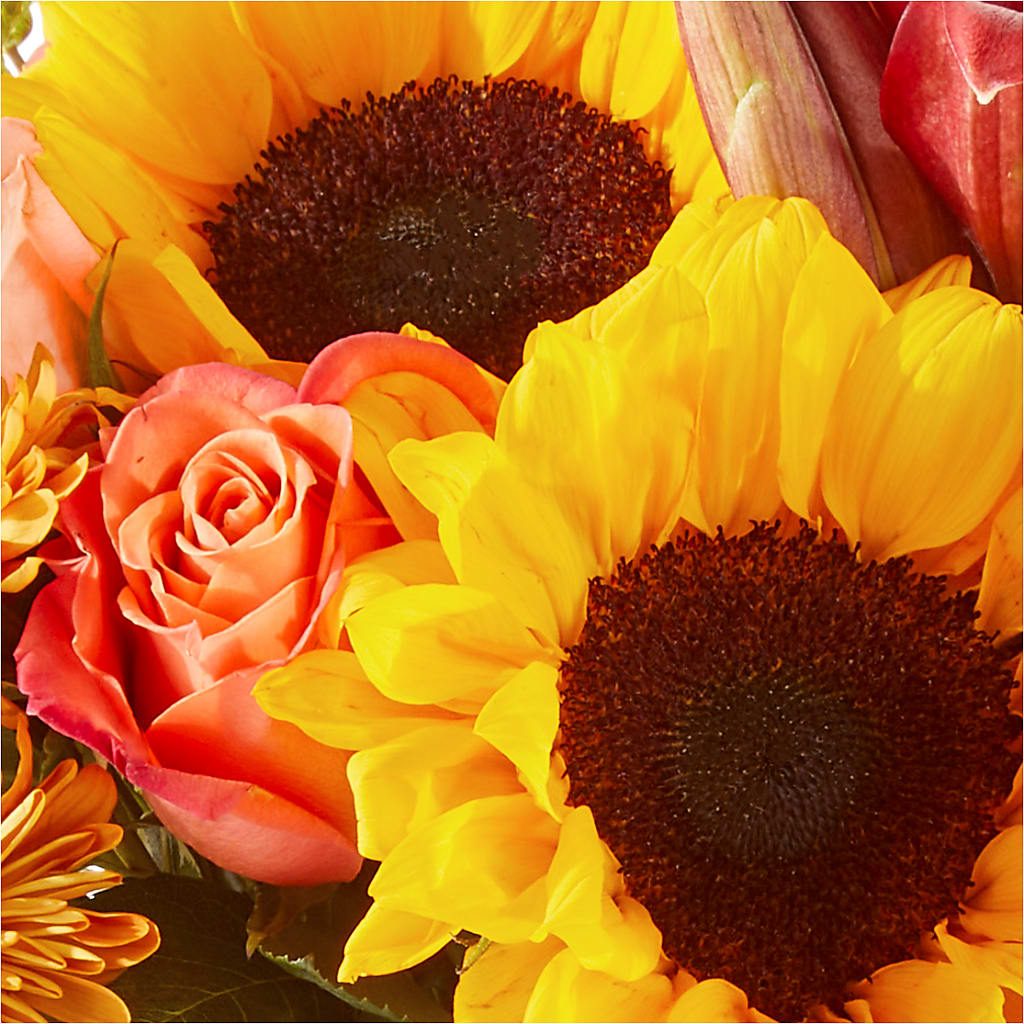 Acorn Lane Bouquet – BENNY'S FLOWERS, Norton VA