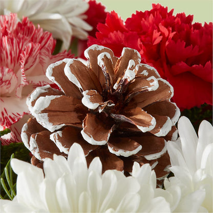 Candy Cane Lane Bouquet – BENNY'S FLOWERS, Norton VA