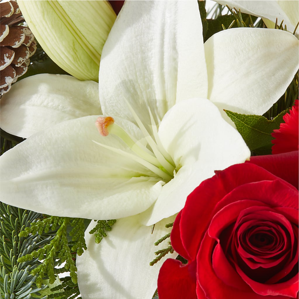 Oh So Jolly Bouquet – BENNY'S FLOWERS, Norton VA