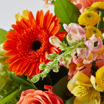 Autumn Sunshine Bouquet – BENNY'S FLOWERS, Norton VA