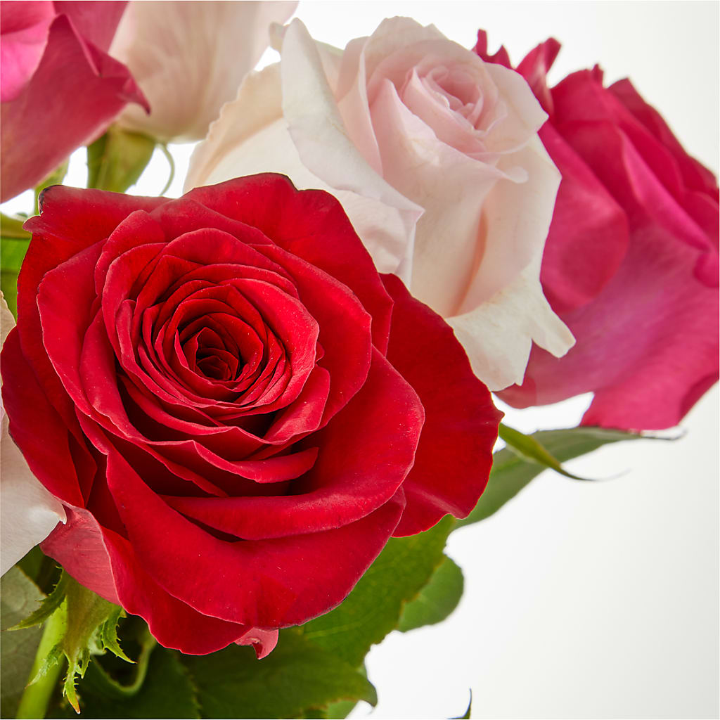 Charming Rose Bouquet – BENNY'S FLOWERS, Norton VA