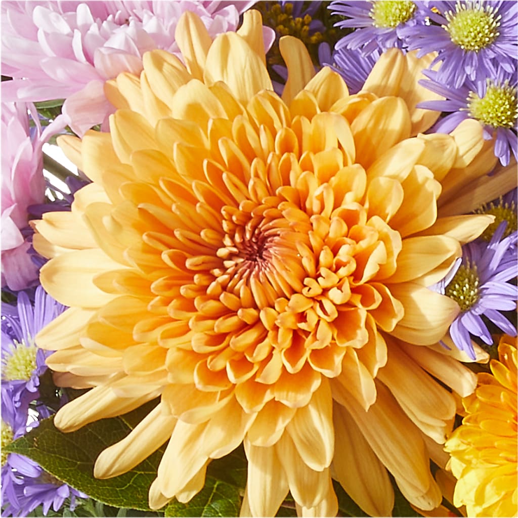 Countryside Bouquet – BENNY'S FLOWERS, Norton VA