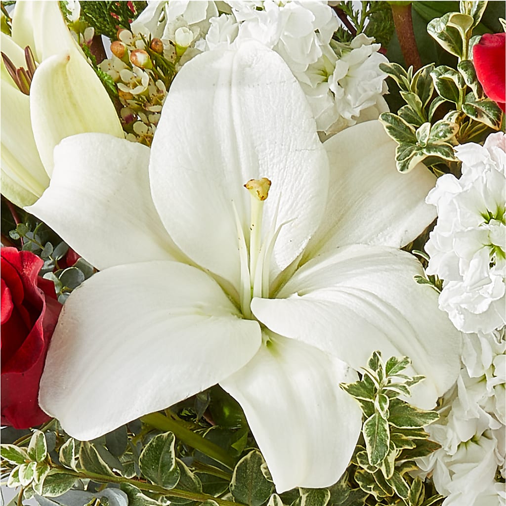 Twinkle Lights Bouquet – BENNY'S FLOWERS, Norton VA