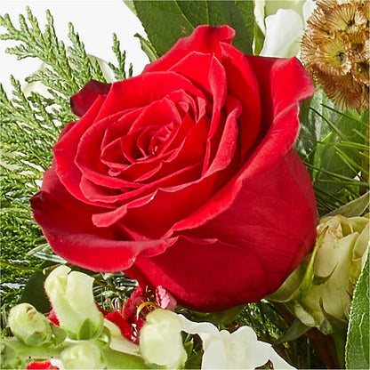 Deck the Halls Bouquet – BENNY'S FLOWERS, Norton VA