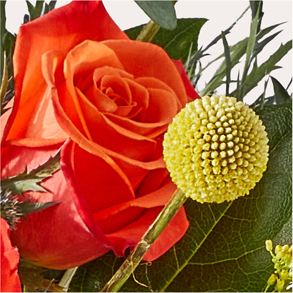 Disco Bouquet – BENNY'S FLOWERS, Norton VA