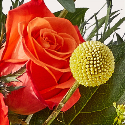 Disco Bouquet – BENNY'S FLOWERS, Norton VA