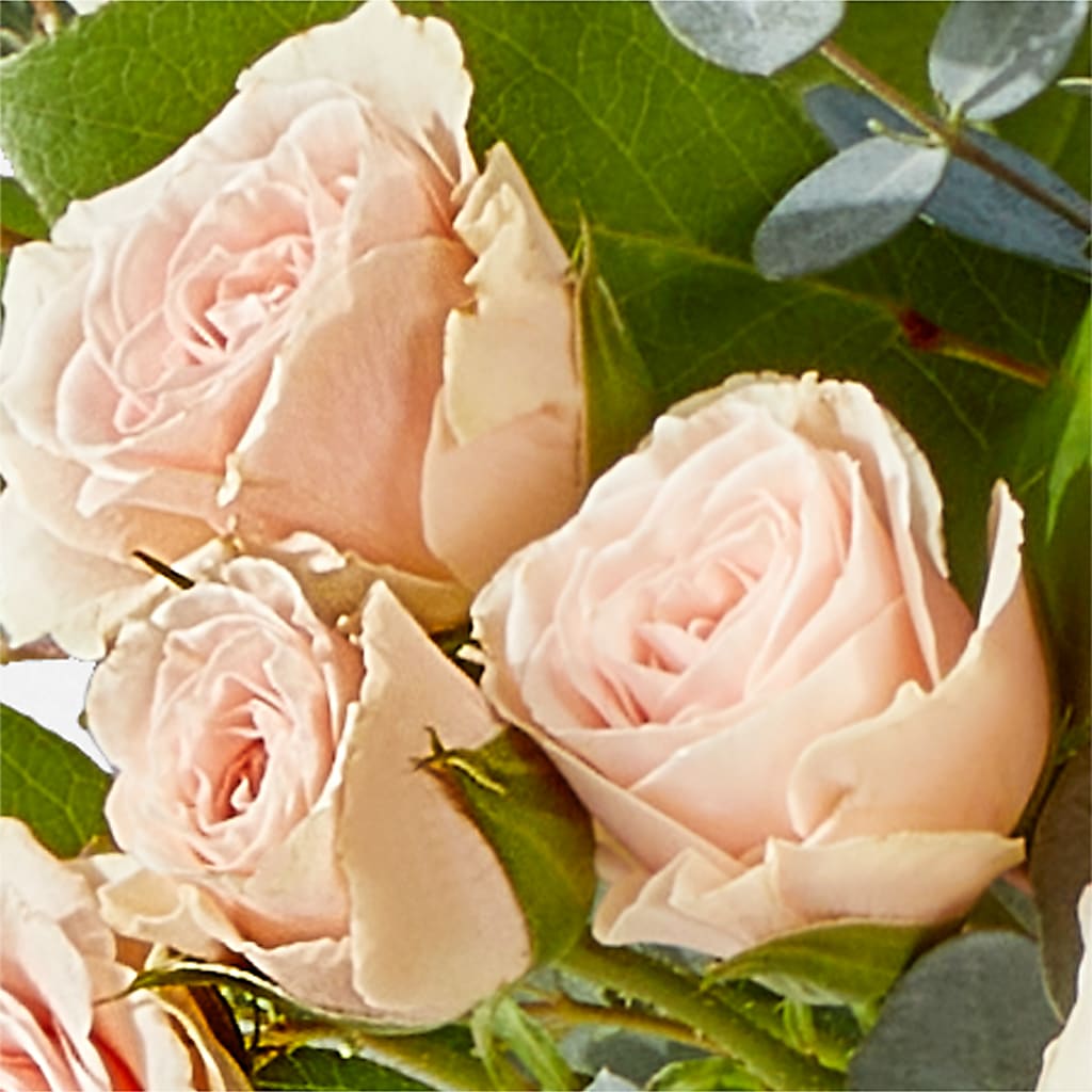 Inspired Bouquet – BENNY'S FLOWERS, Norton VA