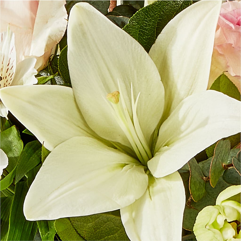 Ballet Slippers Bouquet – BENNY'S FLOWERS, Norton VA
