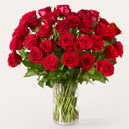 The One Red Rose Bouquet – BENNY'S FLOWERS, Norton VA