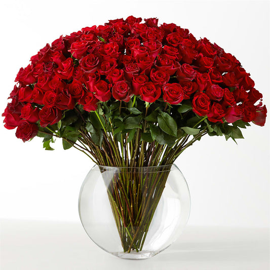 The Idealist – BENNY'S FLOWERS, Norton VA